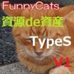 FC_資源de資産_TypeS