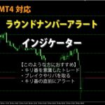 an-indicator-that-notifies-you-with-a-flashing-line-and-an-alert-sound-near-the-round-number