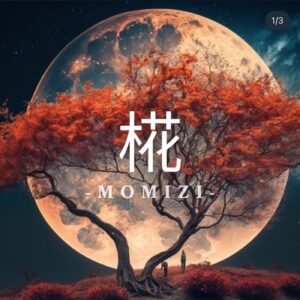 3桁最速RTA【椛 -MOMIZI-】+10分以内に3桁乗ります。やる事はたったの4STEPだけです。