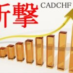 斬撃 CADCHF