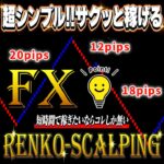 RENKO-SCALPING FXの練行足スキャルピング手法！ サインツールを組み合わせて利益を積み上げる高精度1分、5分スキャル！